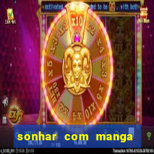 sonhar com manga madura jogo do bicho